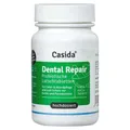 Casida Dental Repair Lutschtabletten gegen Zahnfleisch Probleme, Zahnfleischentzündungen & Mundgeruch