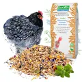 StaWa Hühnerfutter Vitalmix mit Kräuter, das Beste Geflügelkörnerfutter, ohne Gentechnik, 10 kg