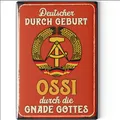 Kühlschrankmagnete lustig, lustige Magnete mit Sprüchen und witzigen Motiven
