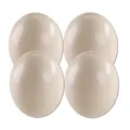 4er Set Straussenei XXL ausgeblasen natur 13-15 cm Afrika Riesenei Vogel Strauß