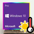 Windows 10 Professional Pro
