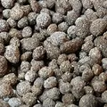Biohome Biogravel ist ein neues Filtermedium für Aquarienfilter; Filtermaterial auch für beengte Verhältnisse geeignet - Bio.Biogravel.3kg