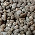 Biohome Biogravel ist ein neues Filtermedium für Aquarienfilter 3 kg