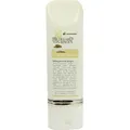 Hildegard von Bingen Weihrauchbalsam Ac 100 ML