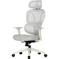 FlexiSpot Bürostuhl BS5WG, grau, Stoff / Netz, mit Kopfstütze, bis 136 kg