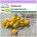 SAFLAX - BIO - Tomate - Yellow Submarine - 10 Samen - Solanum lycopersicum
