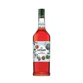 GIFFARD Bar Sirup 1,0 l - Sirup WASSERMELONE zum Mixen Mixgetränke / Cocktails