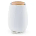 Beurer Aroma Diffuser LA 45 GREEN PLANET