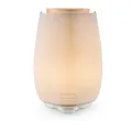 Beurer LA 45 Green Planet Aroma Diffuser Raumerfrischer 12 Watt LED
