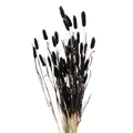 Boltze Home Deko-Zweige für Vase, getrocknet, 70 cm, Farbe:schwarz