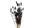 Kunstpflanze Deko-Zweige für Vase, getrocknet, 70 cm Zimmerpflanze, BOLTZE GRUPPE GmbH, Höhe 70 cm