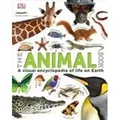 Our World in Pictures The Animal Book von DK / Dorling Kindersley Ltd / Buch