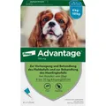 Advantage 100 für Hunde von 4-10 kg Lösung Inhalt: 4 St