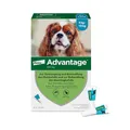 Elanco Advantage Spot-On 100 für kleine Hunde von 4 bis 10 kg Körpergewicht, schnelle Bekämpfung von Flöhen und Schutz vor Flohbefall für bis zu 4 Wochen, 4 Pipetten mit 1,0 ml Lösung