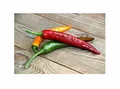 Stk - 10x Spanische Rot Gelb Grüne Peperoni Mix Gemüse Pflanzen - Samen A152 - Seeds & Plants Shop by Ipsa