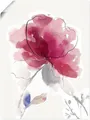 Artland Wandbild Rosige Blüte II., Blumenbilder (1 St), als Alubild, Outdoorbild, Leinwandbild, Poster in verschied. Größen