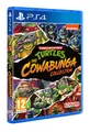 Teenage Mutant Ninja Turtles: The Cowabunga Collection