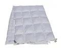 2 Stück Combi Vierjahreszeiten Daunenbetten 100% Daunendecken Bettdecken 135x200