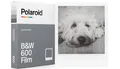 POLAROID 600 Schwarzweiss (8 Aufn.) (Polar. 600)