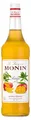 Monin Mango Sirup