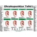 Ohrakupunktur Tafel - Indikation: Neurologische Erkrankungen Nervensystem & Vegetative Erkrankungen / Hawelka Verlag / Sonstige