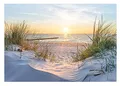 WallArena Fototapete Strand Meer Nordsee Dünen Sonne Panorama Natur Modern Wohnzimmer Schlafzimmer Wandtapete Vlies Tapete UV-Beständig Geruchsfrei Montagefertig (14020, VEXL (208x146 cm) 2 Bahnen)
