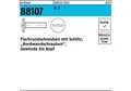 Reyher Flachrundschraube R 88107 m.Schlitz VG M 6 x 20 A 2