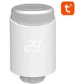 Avatto Trv10 Zigbee Tuya intelligenter Thermostatkopf