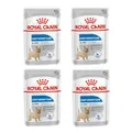 Royal Canin Light Weight Care Mousse | 4er Pack | 4 x 12 x 85 g | Alleinfuttermittel für Hunde | Ab dem 10. Lebensmonat