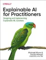 David Pitman Michael Munn Explainable AI for Practitioners (Taschenbuch)