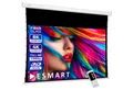 ESMART ESMART Germany Tension Leinwand TATENSO Motorleinwand (Professional TATENSO)