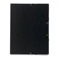 Exacompta Sammelmappe mit Gummizug (A4, 1x) (55401E)