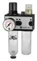 Riegler Wartungseinheit multifix G1/4" 0,5-10 bar 2tlg. BG1 - 100566