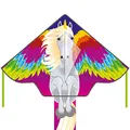 Ecoline Simple Flyer 120 Kinderdrachen Flugdrachen Einleiner Drachen zum steigen lassen wenig Wind ab 5 Jahre 75x120cm+1.5m Drachenschwanz 17kp Polyesterschnur 25m auf Griff 2-5 Bft (Pegasus)