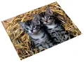 Läufer Schreibunterlage Katzen im Stroh 400 x 530 mm