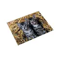 2 bis 40x Läufer Schreibunterlage Katzen im Stroh, 400 x 530 mm SPARE BIS ZU 30%