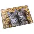 Läufer Schreibunterlage Katzen rutschfest Kinder Schreibtischunterlage 40x53cm