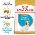 Royal Canin Französische Bulldogge Welpe - 3 kg
