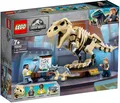 Triceratops Fossil Exhibition LEGO 76940 Jurassic World N9/21
