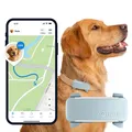 Tractive DOG 6 | GPS Tracker Hund & Health Tracker | Mint | GENERALÜBERHOLT