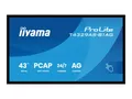 Iiyama ProLite T4329AS-B1AG - 109 cm (43") Diagonalklasse (108 cm (42.5") (T4329AS-B1AG)
