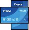 Iiyama ProLite Digital Signage Display EEK: G (A - G) 108cm (42.5 Zoll) 3840 x 2160 Pixel 24/7 Android, Touchscreen, Kiosk-Modus