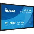 iiyama ProLite T4329AS-B1AG, LED-Monitor, 108 cm (42,5 Zoll), UHD, schwarz