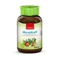 Jentschura WurzelKraft BIO (600g)