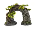 Nobby Aquariendeko Aquariendekoration Aqua Ornaments Steinbogen mit Pflanzen