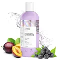 So!Flow Stärke & Glanz Shampoo für coloriertes Haar - Pflegendes mit natürlichen Extrakten, Vegan und ohne schädliche Inhaltsstoffe, Ideal für strapazierte Haare