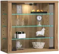VCM Hängevitrine Wandvitrine Hängevitrine Glasvitrine Vitrosa S