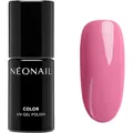 NEONAIL Kollektionen Bloomy-VibesColor UV Nagellack Love Spirit 7,2 ml