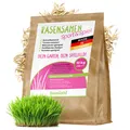 halmland Premium Rasensamen 10kg schnellkeimend für 400m²  Sport und Spiel