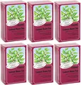 (6er BUNDLE)| Floradix - Lemon Balm Organic Herbal Tea -15bag